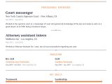 Sample Resume for County Court Clerk Law Student Resume Example with Content Sample Craftmycv