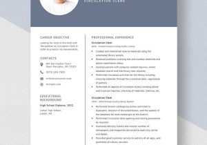Sample Resume for County Court Clerk Position Clerk Resume Templates – Design, Free, Download Template.net