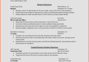 Sample Resume for Credit Manager In India 67 Inspiring Images Of Resume Examples for Teaching English Abroad …