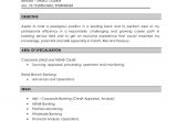 Sample Resume for Credit Manager In India Nitin Kumar Resume Credit Analyst
