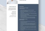 Sample Resume for Cruise Ship Nurse Cruise Ship Chef Resume Template – Word, Apple Pages Template.net