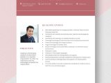 Sample Resume for Cruise Ship Nurse Free Free Ship Nurse Resume Template – Word, Apple Pages …