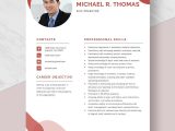 Sample Resume for Cruise Ship Nurse Free Free Ship Operator Resume Template – Word, Apple Pages …