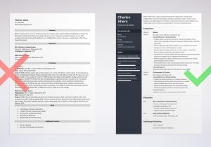 Sample Resume for Cruise Ship Waiter Waiter Resume Examples & Guide (lancarrezekiqskills & Job Description)