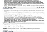 Sample Resume for Cs Management Trainee Company Secretary Resume Examples & Template (with Job Winning Tips)
