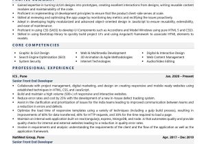 Sample Resume for Css3 HTML5 Knowledge Front End Developer Resume Examples & Template (with Job Winning Tips)
