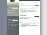 Sample Resume for Curatorial Design Museum Art Museum Curator Resume Template – Word, Apple Pages Template.net