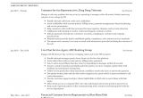Sample Resume for Customer Care Representative Client Representative Job Description