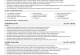 Sample Resume for Customer Service and Cashier Cashier Resume Examples & Template (with Job Winning Tips)