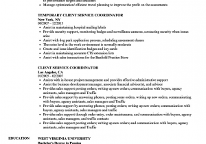 Sample Resume for Customer Service Coordinator Client Service Coordinator Job Description for Resume
