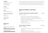 Sample Resume for Customer Service for the Export Industry Customer Service Cv Examples & Writing Tips 2022 (free Guide)