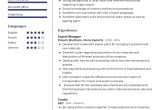 Sample Resume for Customer Service for the Export Industry Import Export Trader Cv Sample 2022 Writing Tips – Resumekraft