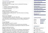 Sample Resume for Customer Success Manager Google Customer Success Manager Resume Sample 2021 Writing Guide …