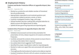 Sample Resume for Customs Administration Graduate Government Resume Examples & Writing Tips 2022 (free Guide)