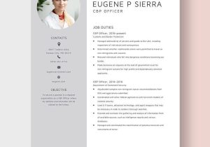 Sample Resume for Customs Administration Graduate Officer Resumes Templates – Design, Free, Download Template.net