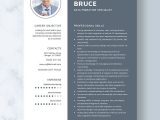 Sample Resume for Customs Administration Graduate Two Page Resume Templates – Design, Free, Download Template.net