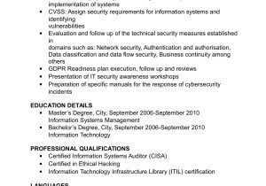Sample Resume for Cyber Security Graduate Cyber Security Cv Template Examples Audit, Finance Management