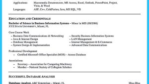Sample Resume for Data Analyst Higher Education Cool High Quality Data Analyst Resume Sample From Professionals …