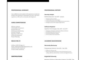 Sample Resume for Data Analyst Position with 2 Years Experience 7 Awesome Data Analyst Resumes [lancarrezekiq Tips for Standing Out]