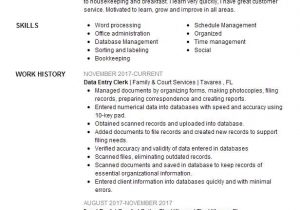 Sample Resume for Data Entry Clerk Position Data Entry Clerk Resume Example Nex Systems Stockton