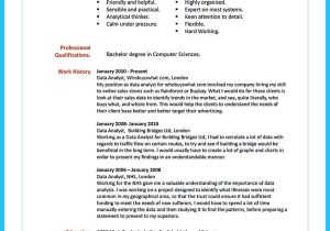 Sample Resume for Data Quality Analyst Cool High Quality Data Analyst Resume Sample From Professionals …