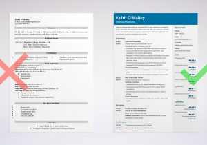 Sample Resume for Daycare Worker with No Experience Child Care Worker Cv Example October 2021