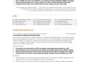 Sample Resume for Digital Marketing Executive 10 Marketing Resume Samples Hiring Managers Will Notice Digital …