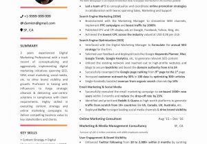 Sample Resume for Digital Marketing Executive Entry Level Marketing Resume Awesome Digital Marketing Resume 10 …