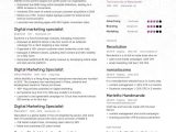Sample Resume for Digital Marketing Specialist Digital Marketing Specialist Resume Examples & Expert Tips