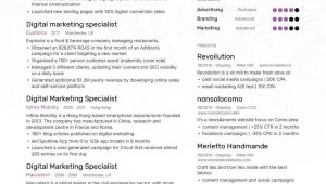 Sample Resume for Digital Marketing Specialist Digital Marketing Specialist Resume Examples & Expert Tips