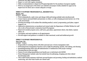 Sample Resume for Direct Support Professional Direct Support Professional Job Description for Resume