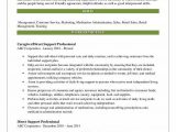 Sample Resume for Direct Support Professional Direct Support Professional Resume Samples