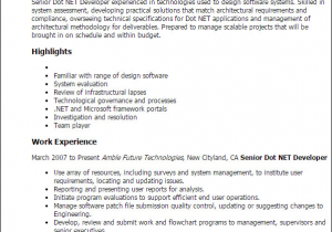 Sample Resume for Dot Net Developer Experience 10 Years Resume Template for 3 Years Experience 3 Gigantic