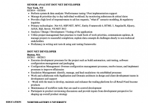 Sample Resume for Dot Net Programmer Fresher Sample Cv for Dot Net Developer Cv for Net Developer