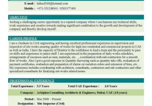 Sample Resume for Engineering Students India Indian Engineering Student Resume format Pdf Best Resume