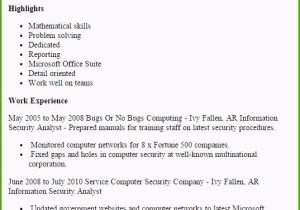 Sample Resume for Entry Level Cyber Security Cyber Security Resume Example Free Resume Templates