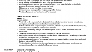 Sample Resume for Entry Level Cyber Security Entry Level Cyber Security Resume