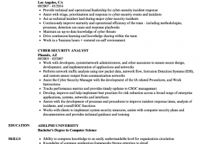 Sample Resume for Entry Level Cyber Security Entry Level Cyber Security Resume