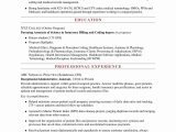 Sample Resume for Entry Level Data Scientist √ 20 Data Scientist Entry Level Resume In 2020