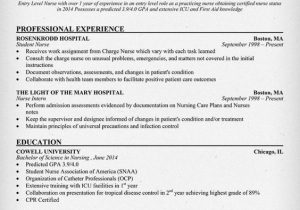 Sample Resume for Entry Level Hospital Job Entry Level Healthcare Resume Example