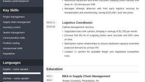 Sample Resume for Entry Level Logistics Coordinator Logistics Resumeâexamples and 25lancarrezekiq Writing Tips