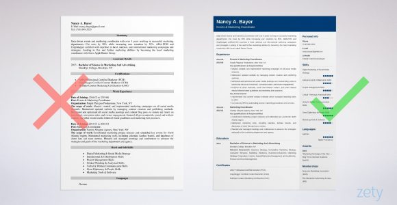 Sample Resume for Entry Level Marketing Coordinator Marketing Coordinator Resume Examples (20lancarrezekiq Tips)