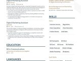 Sample Resume for Entry Level Marketing Coordinator Marketing Manager Resume Samples [with 8lancarrezekiq Examples] (layout …