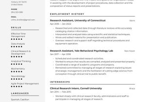 Sample Resume for Entry Level Research assistant Research assistant Resume Examples & Writing Tips 2022 (free Guide)