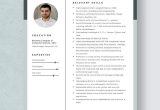 Sample Resume for Entry Level Sas Programmer Programmer Resumes Templates – Design, Free, Download Template.net