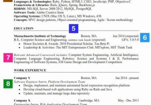 Sample Resume for Entry Level software Developer 20 Entry Level software Developer Resume