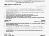 Sample Resume for Entry Level Teller Position Entry Level Bank Teller Resume 3 Technology Gad and