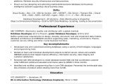 Sample Resume for Entry Level Web Development Sample Resume for A Midlevel It Developer Monster.com