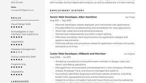 Sample Resume for Entry Level Web Development Web Developer Resume Examples & Writing Tips 2022 (free Guide)