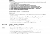 Sample Resume for Environmental Health and Safety Environment Health & Safety Resume Samples